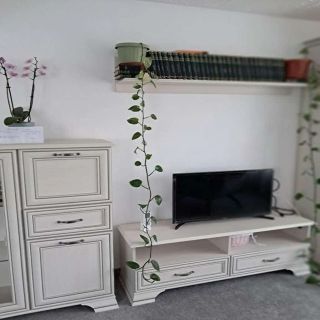 Căsuța Galbenă București (3)