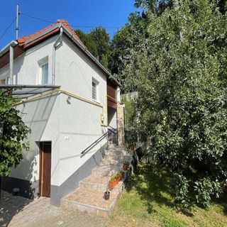 Casa Gheți Sighișoara (4)