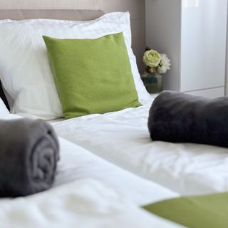 TemOro Apartman Green Siófok (4)