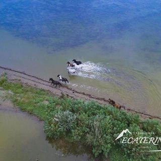 Pensiunea Ecaterina Berzasca (3)