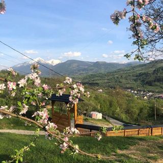 Cabana Hatere Moisei (2)