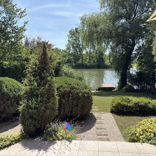 Csoki Vendégház Békésszentandrás (4)