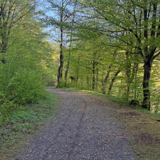 Chaty Jak Dawniej Wołkowyja (5)