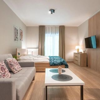 Karkonosky Apartamenty - Różany (3)