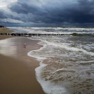 Apartamenty Ptasia Zatoka Sarbinowo (5)