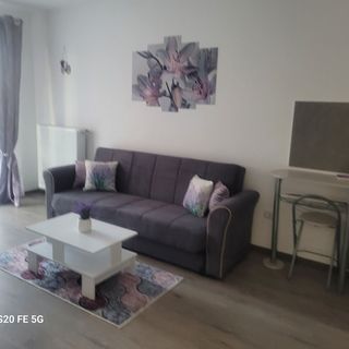 Casa cu Lavandă Brașov (4)