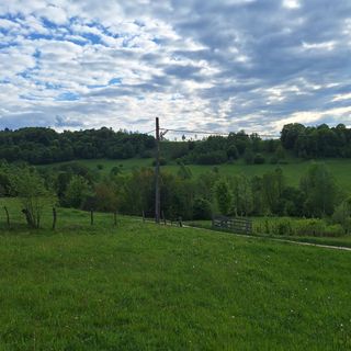 Cabana Coasta Popii Scrădoasa (3)