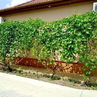 Hajdú Nova Apartman Hajdúnánás (5)