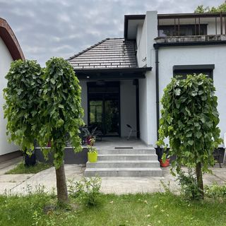 Balaton 5 Apartman Balatonboglár (3)