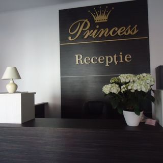 Pensiunea Princess Praid (2)