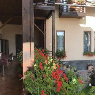 Pensiunea Princess Praid (4)