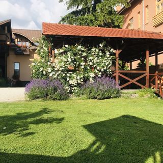 Pensiunea Princess Praid (5)