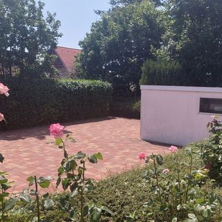 Fenyőrigó Apartman Balatonalmádi (3)