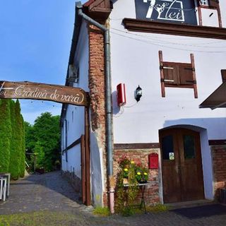 Pensiunea 7 Tei Cisnădioara (5)