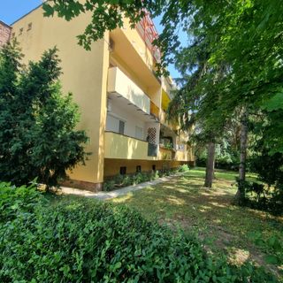 Alma-lak Balatonalmádi (2)