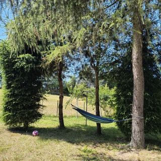 Dom z ogrodem na Mazurach (5)