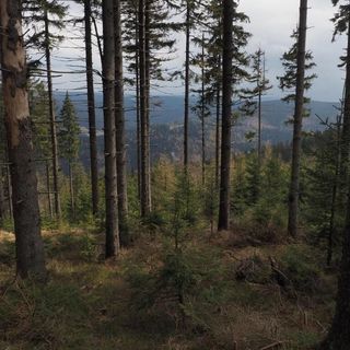 Apartament BOHO DOM Stronie Śląskie (4)