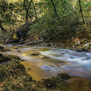 Apartman Vrbovsko - CKB427 (5)