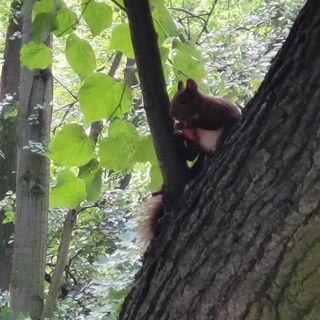 Apartament Biała Flaga Charzykowy (4)