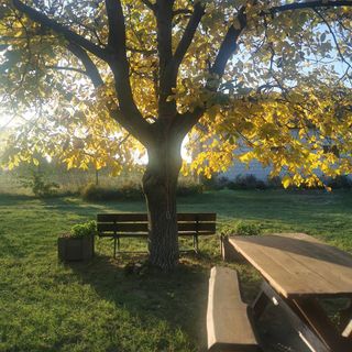 Apartament Ludowy w Siedlisku pod Orzechem Przyłęk (4)