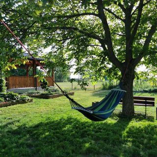 Apartament Ludowy w Siedlisku pod Orzechem Przyłęk (5)