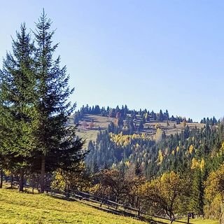 Casa Țărănească Lunca de Jos (4)