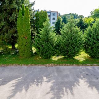 Sunshine Apartman Harkány (4)