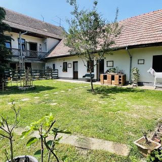 Kisvasút Közösségi Vendégház Szokolya (2)