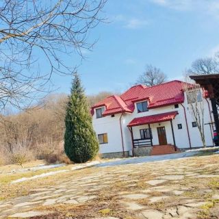 Casa Ina Rasnov (3)