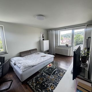 Apartament Chełmiec przy Szczawnie Zdrój (3)