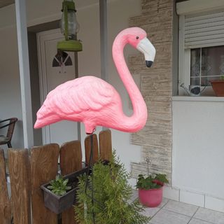Flamingo Apartman Sümeg (3)