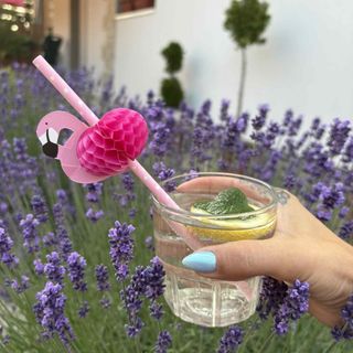 Flamingo Apartman Sümeg (4)