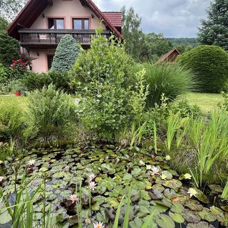 Dom Lawendowa Przystań Brenna (3)