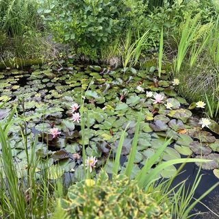 Dom Lawendowa Przystań Brenna (4)