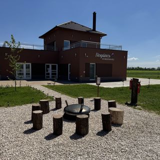 Bogáncs Vendégház Hódmezővásárhely (5)