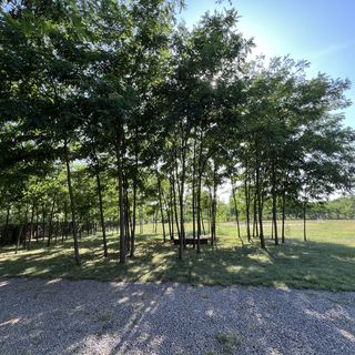 Akácos Tanya Vendégház Szarvas (5)