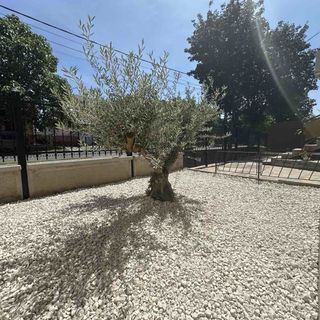 Olajfa Apartman Hajdúszoboszló (4)