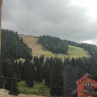 Cabana Roua Munților Vârtop (2)