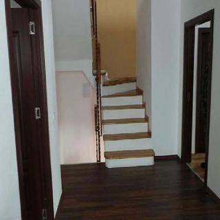 Cabana Roua Munților Vârtop (5)