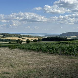 Csipetnyi Chill Vendégház Óbudavár (4)