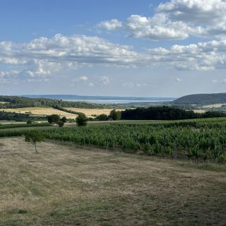 Csipetnyi Chill Vendégház Óbudavár (4)