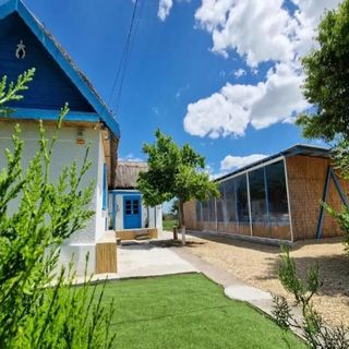 Casa Olivia Lunca (3)