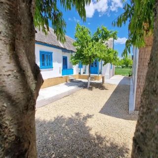 Casa Olivia Lunca (4)