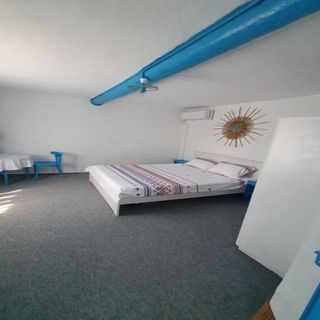 Casa Olivia Lunca (5)