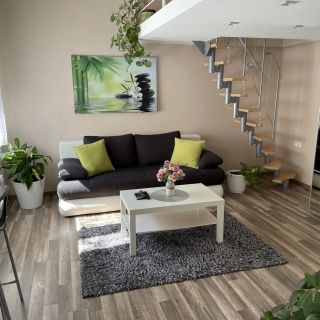 Green Island in the Dowtown Debrecen (2)