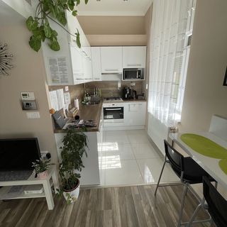 Green Island in the Dowtown Debrecen (3)