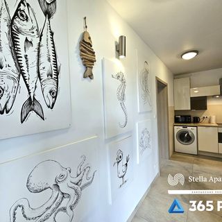 Apartamenty Viento 1 w Ustroniu Morskim (3)