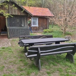 Dom Pod Brzozami Lipinki Bory Tucholskie basen - psy, koty mile widziane (2)