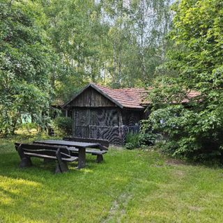 Dom Pod Brzozami Lipinki Bory Tucholskie basen - psy, koty mile widziane (4)