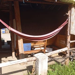 Casa La Matei Godeanu (3)